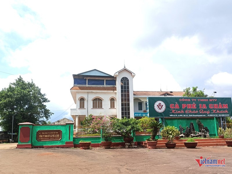 W-Bắt giam Lê Anh Tuấn 1.jpg