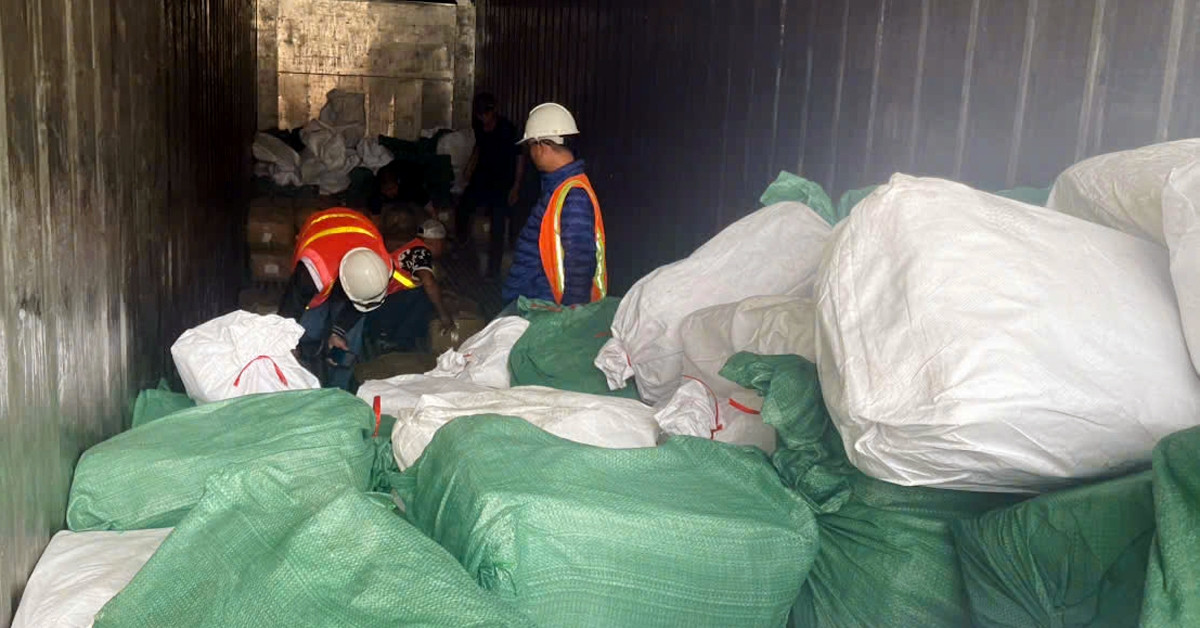 Xuất khống 1.400 tấn chân gà đông lạnh, dấu hiệu trốn thuế 7 tỷ đồng
