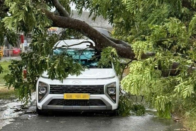 Nhiều cây xanh ngã đổ, đè cả vào ô tô trong mưa giông lớn ở TPHCM