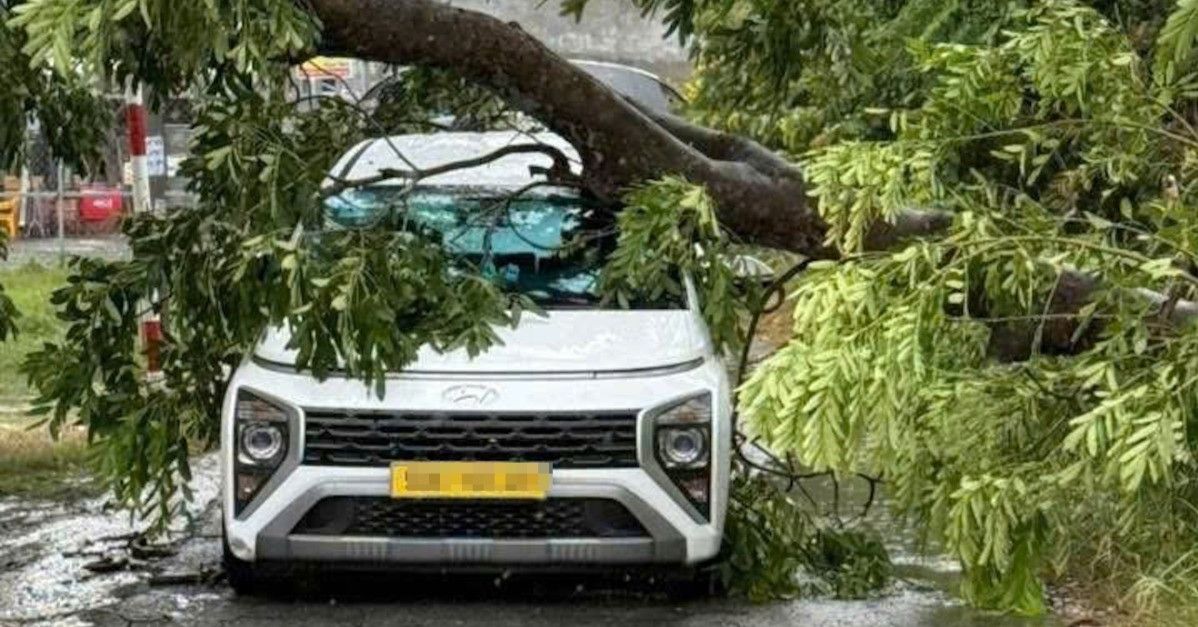 Nhiều cây xanh ngã đổ, đè cả vào ô tô trong mưa giông lớn ở TPHCM