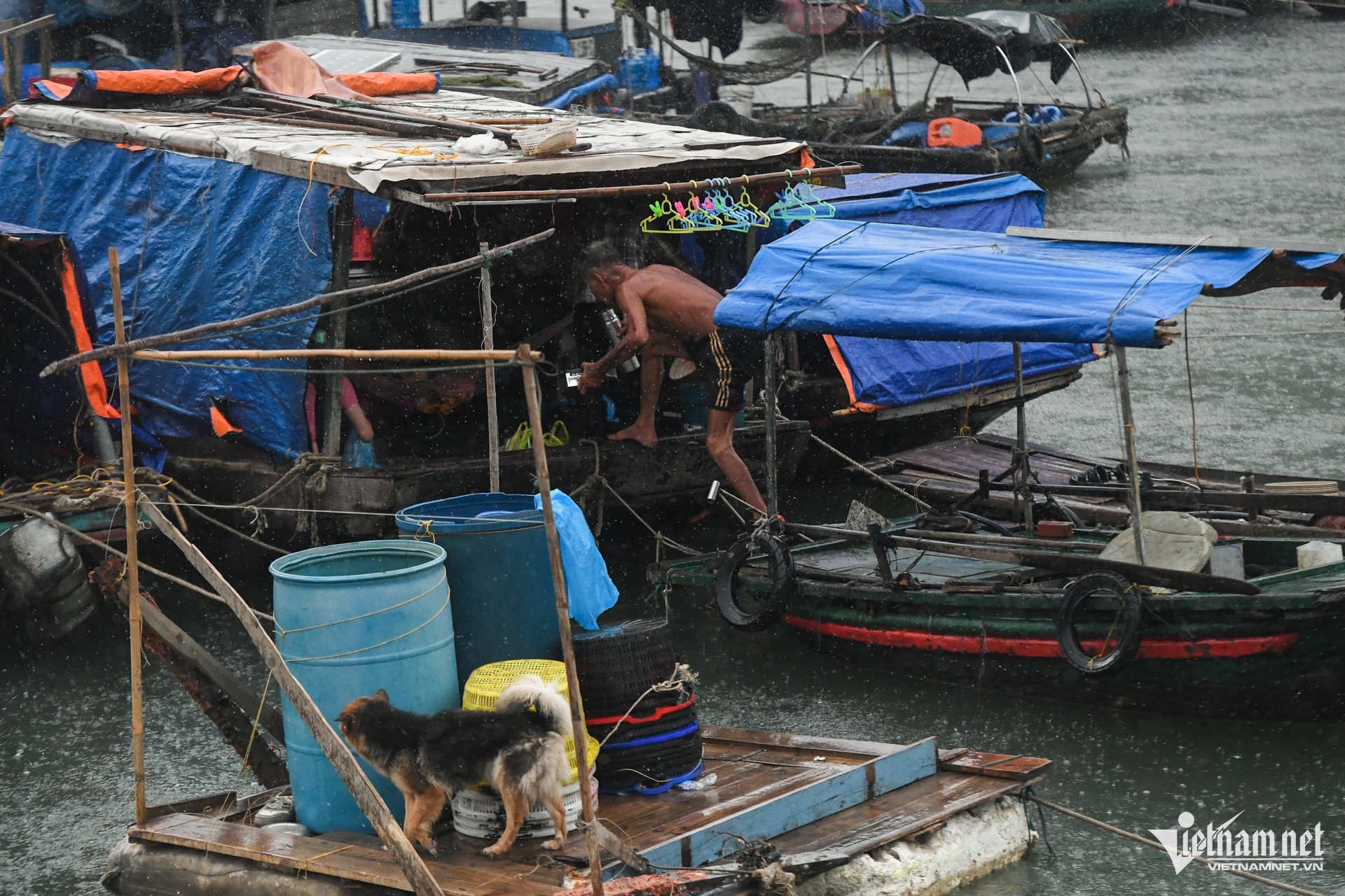 W-Bao Wipha Quang Ninh.jpg