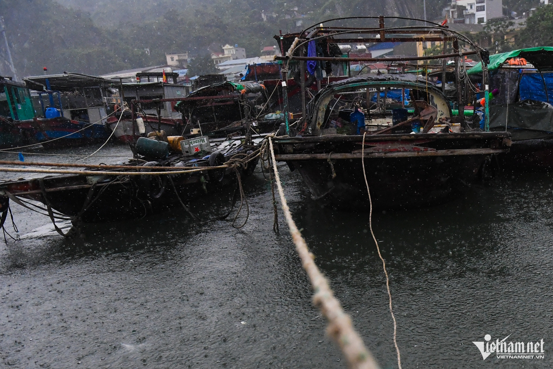 W-Bao Wipha Quang Ninh 7.jpg