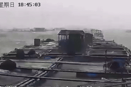 Bão Wipha đổ bộ tỉnh Quảng Đông, Bộ Thủy lợi Trung Quốc ra công điện khẩn