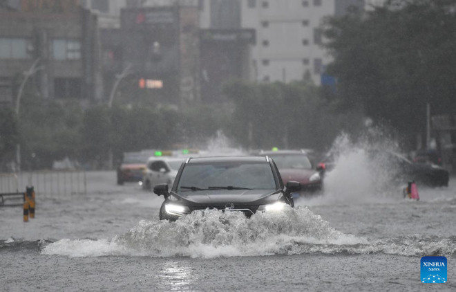 bao wipha quang dong trung quoc 1.jpg