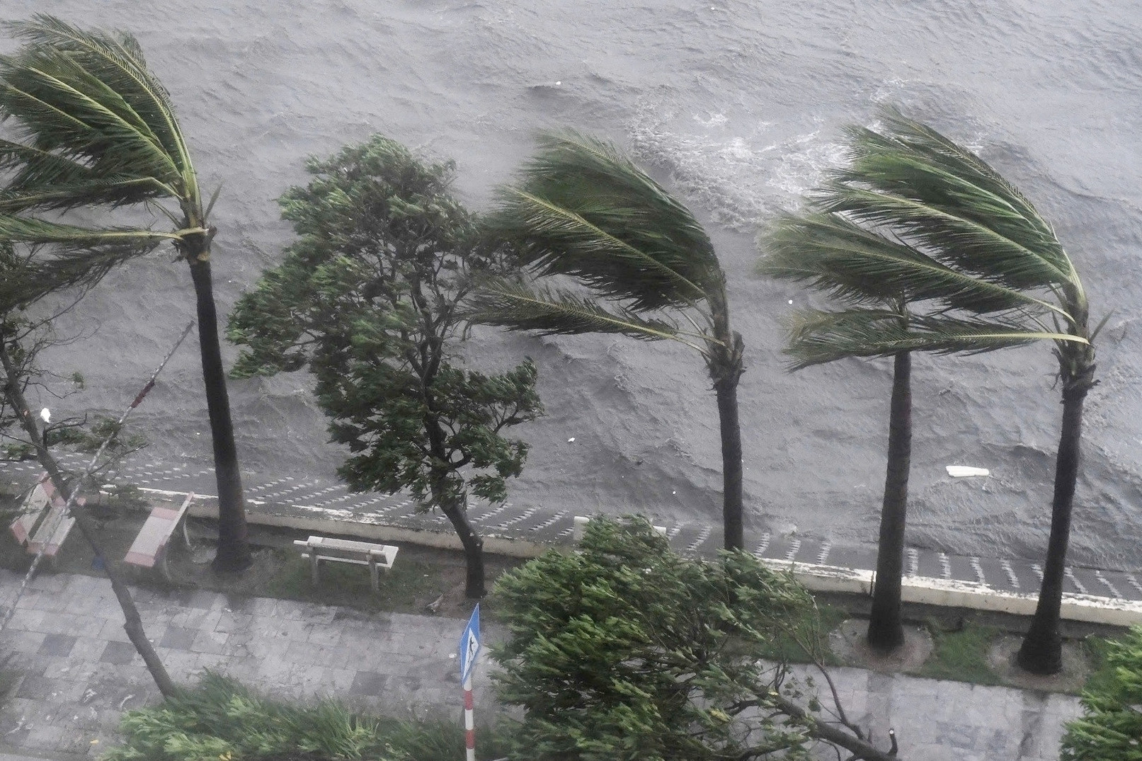 Chi tiết các cấp bão, mức độ tàn phá như thế nào?