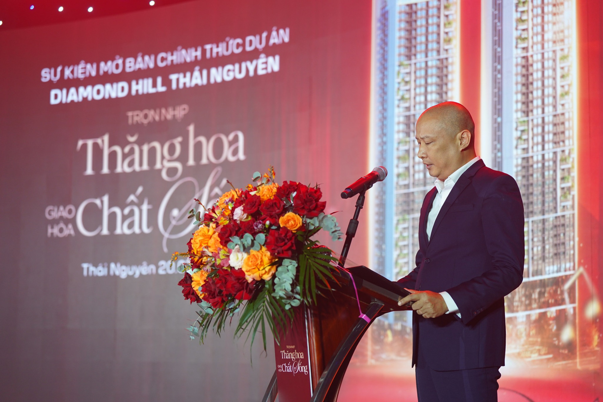 Diamond Hill 2(16).jpg