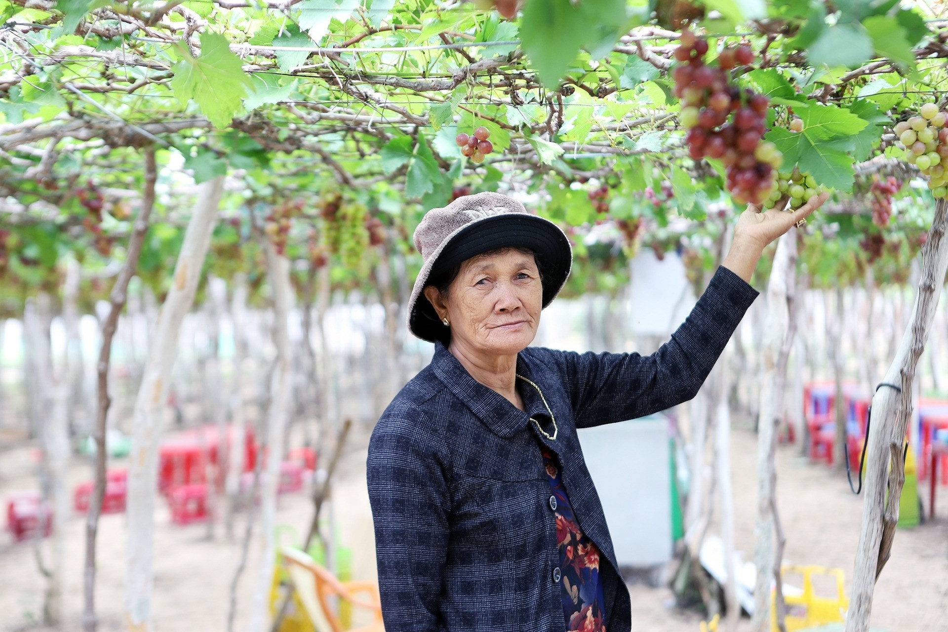 Khánh Hoà kiến nghị bố trí 3.200 tỷ đồng tái định cư hai dự án điện hạt nhân