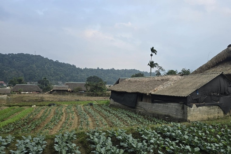 Truyền thông làm đòn bẩy, Liên Hiệp vươn tới nông thôn mới kiểu mẫu
