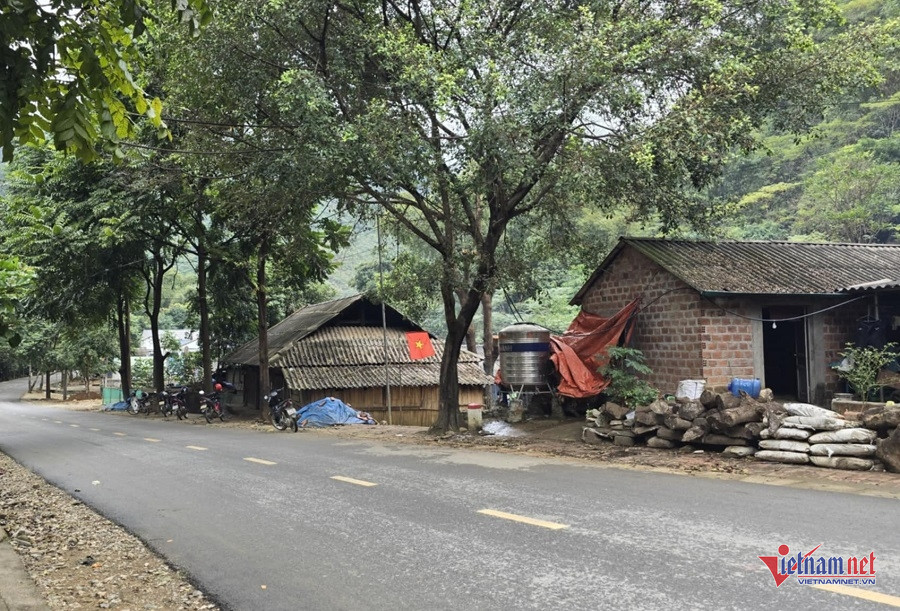 W-2094faf3 b674 4584 b75b e100a6c8e5b8.jpg