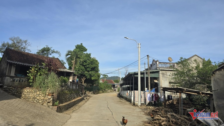 W-2f1c04b5 b41f 4766 bae5 50121e3f2f5b.jpg