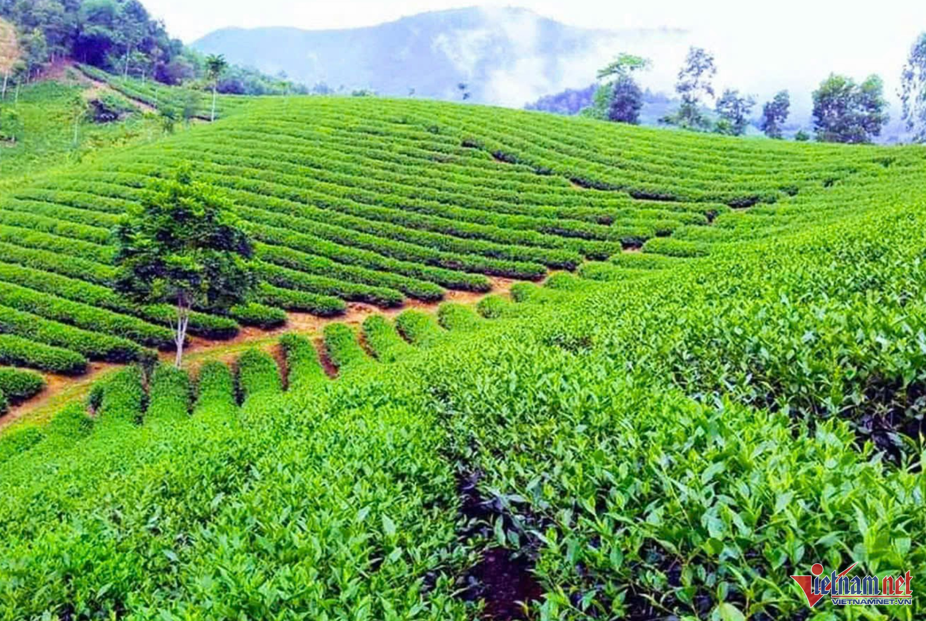 W-Ảnh chụp Màn hình 2025 07 14 lúc 09.43.19.png