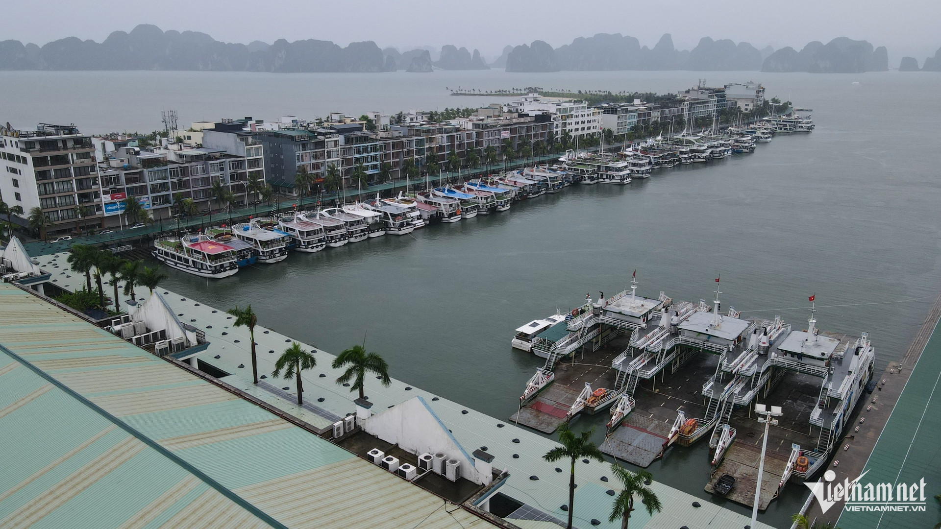 W-Bao Wipha Quang Ninh 12.jpg