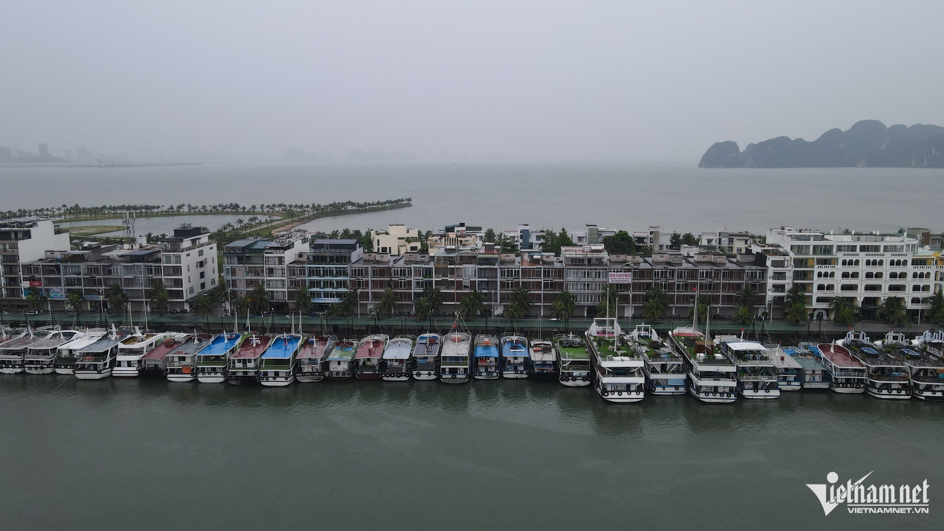 W-Bao Wipha Quang Ninh 13.jpg