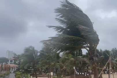 Bão số 3 Wiphai đã áp rất sát đất liền