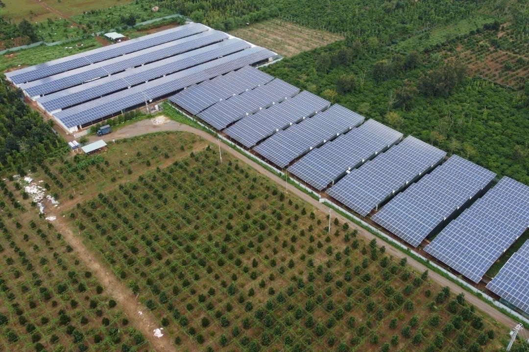 Nông dân ‘ăn chắc mặc bền’ khi hợp tác với Japfa Việt Nam chăn nuôi gà gia công