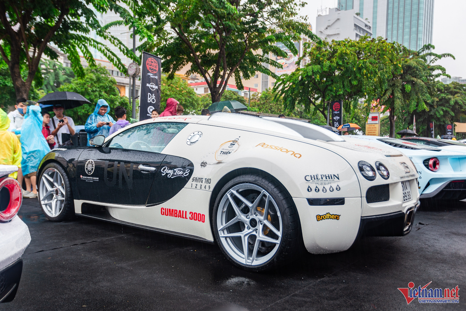 W-bugatti veyron 2.JPG.jpg