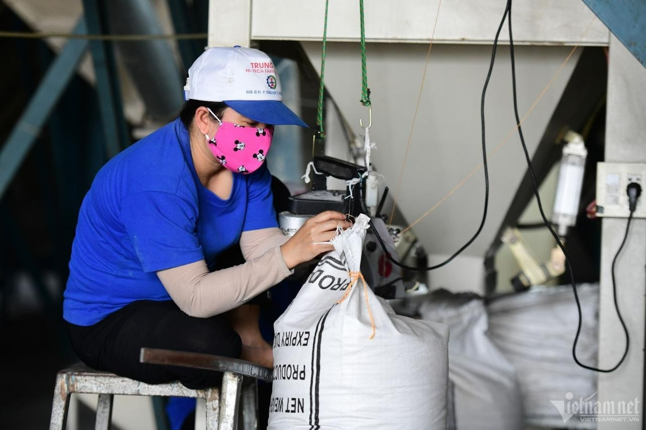 DN lúng túng in nhãn bao bì vì chưa đổi được giấy phép kinh doanh theo địa chỉ mới