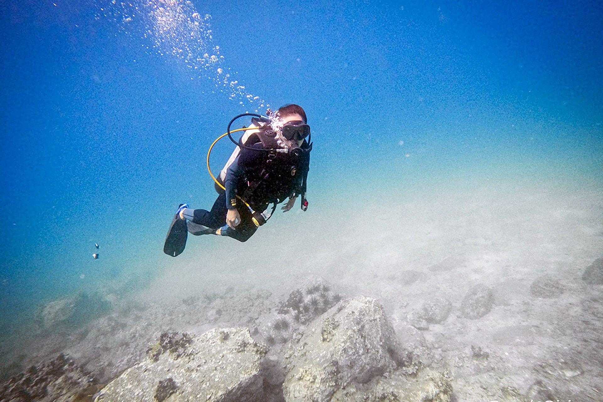 Khánh Hòa thông tin về gần 200ha rạn san hô vịnh Nha Trang bị biến mất