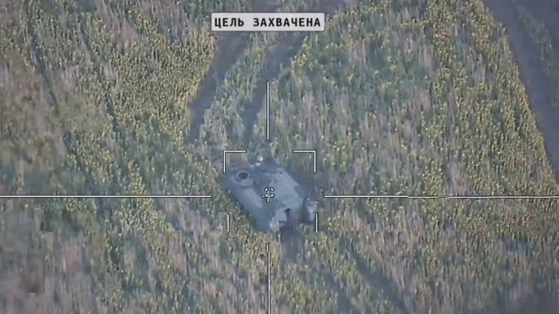 M113 1.gif
