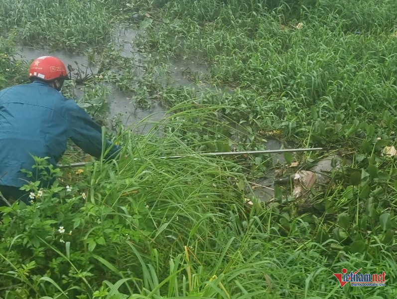 W-Lợn chết ở kè Hội Phú 1.jpg