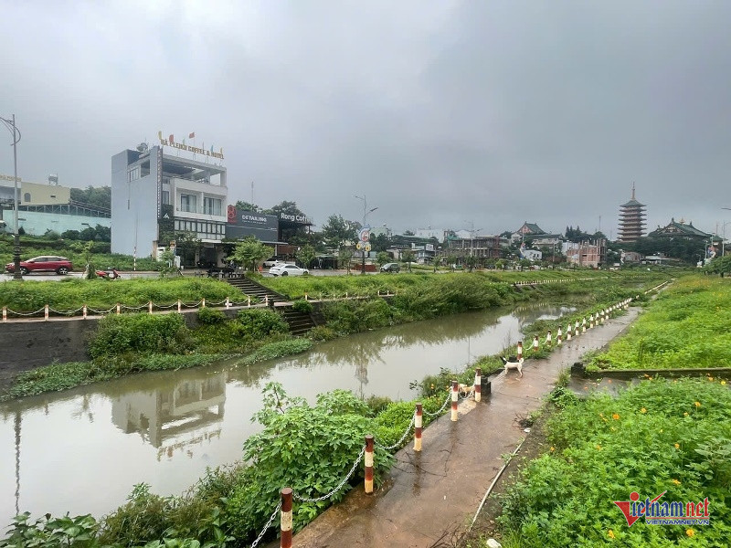 W-Lợn chết ở kè Hội Phú 2.jpg