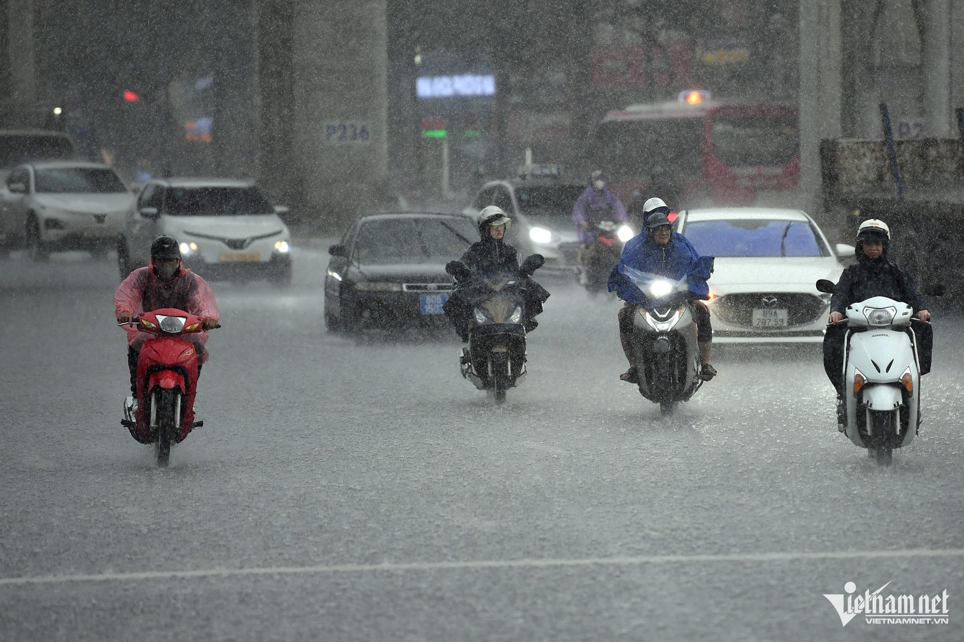 W-mua-lon-Hoang-Minh-80.jpg