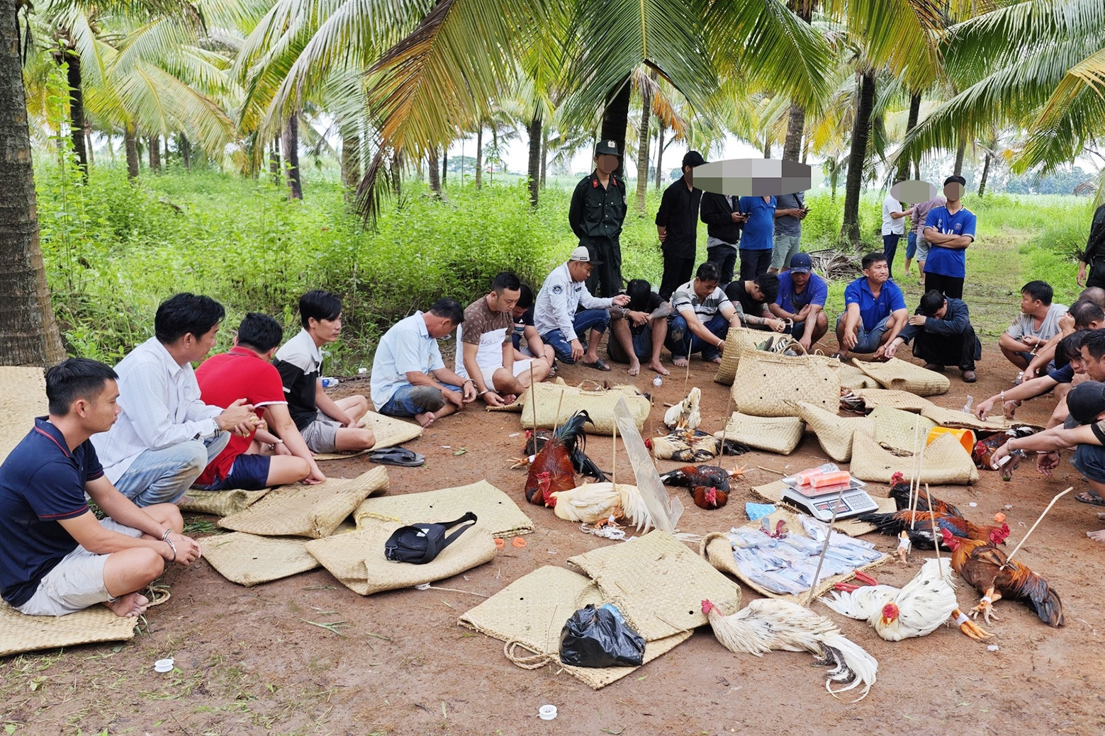 Cảnh sát bao vây ‘trường gà’ tiền tỷ ở TP Cần Thơ