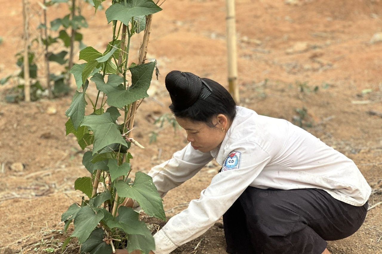 Phụ nữ Điện Biên tích cực, chủ động tham gia xây dựng nông thôn mới