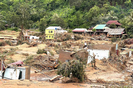 tan hoang 2753.jpg