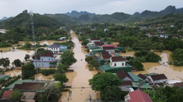 Thùy Anh8.jpg