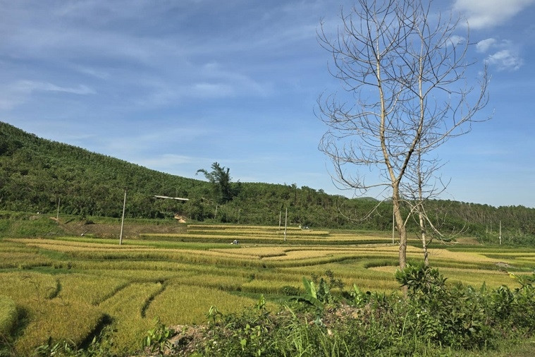 Tuyên truyền sâu rộng - Chìa khóa để Mường La cán đích nông thôn mới năm 2030