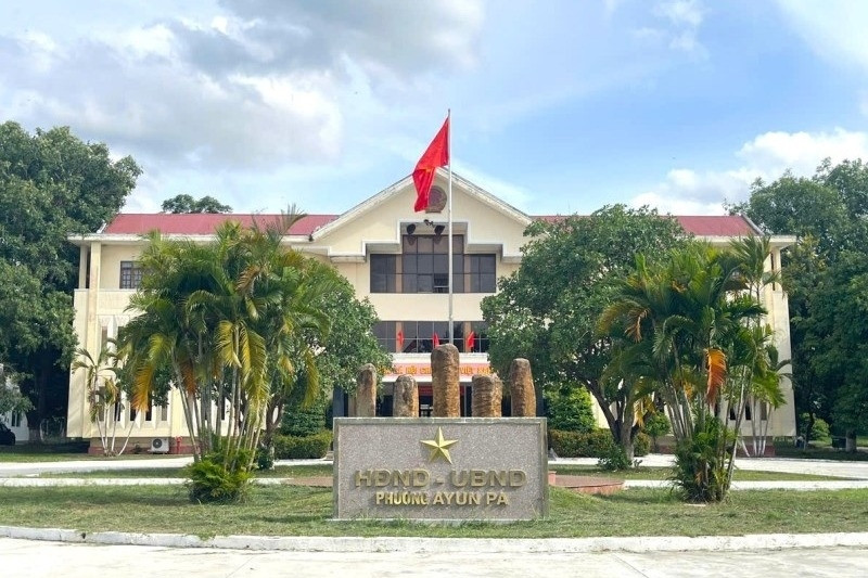 Vụ chặt cây xanh trước sáp nhập: Nguyên chủ tịch và bí thư phường phải tự kiểm điểm