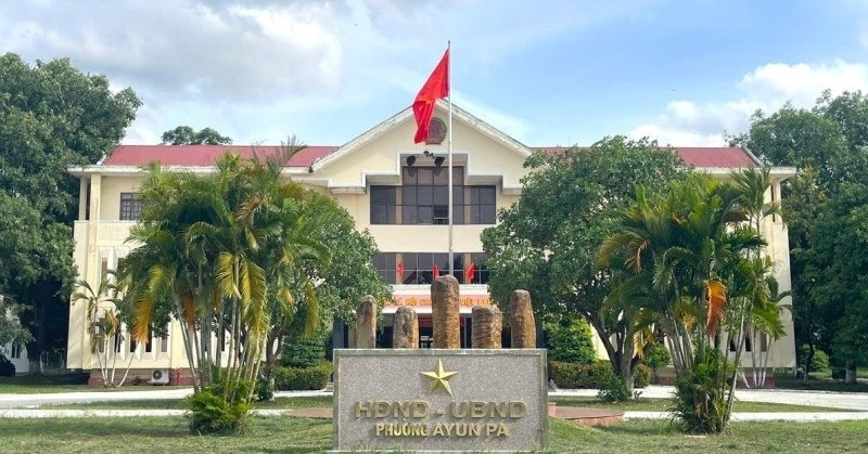 Vụ chặt cây xanh trước sáp nhập: Nguyên chủ tịch và bí thư phường phải tự kiểm điểm