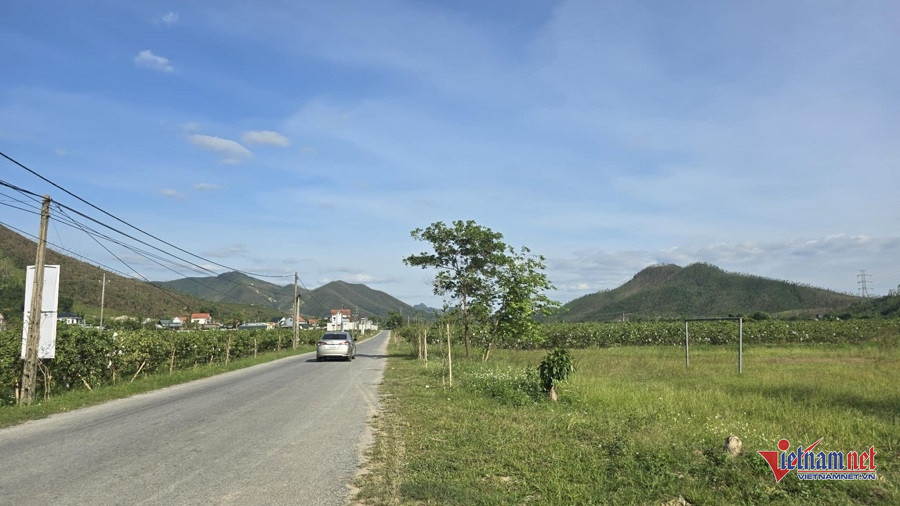 W-13c70f53 08c8 47f6 852d 838eac953506.jpg