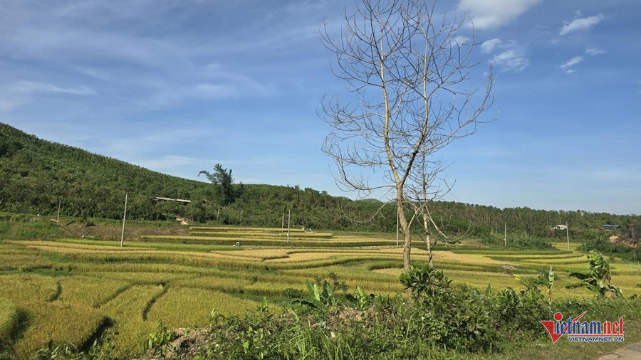 W-4875d5a9 0aec 43d6 a11c 0fbaacee90ca.jpg