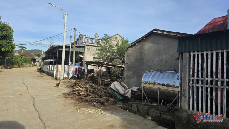 W-65c6f0b3 f6ba 4412 b016 f25db69ce0df.jpg