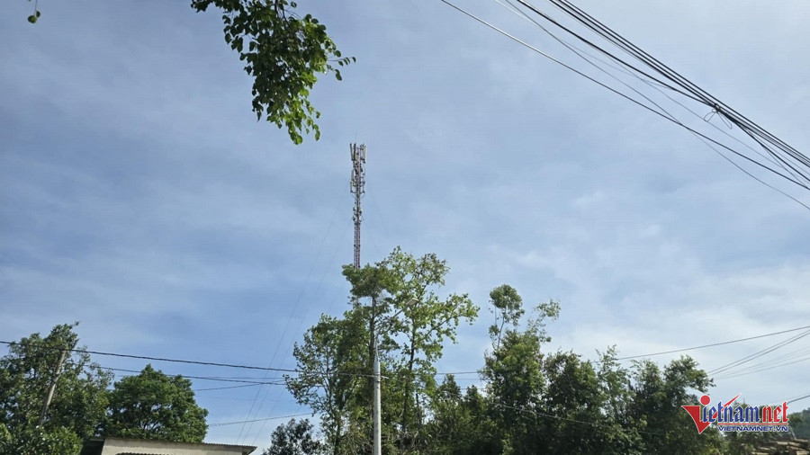 W-6c95a481 9001 4637 8834 1bff8fce3cfa.jpg