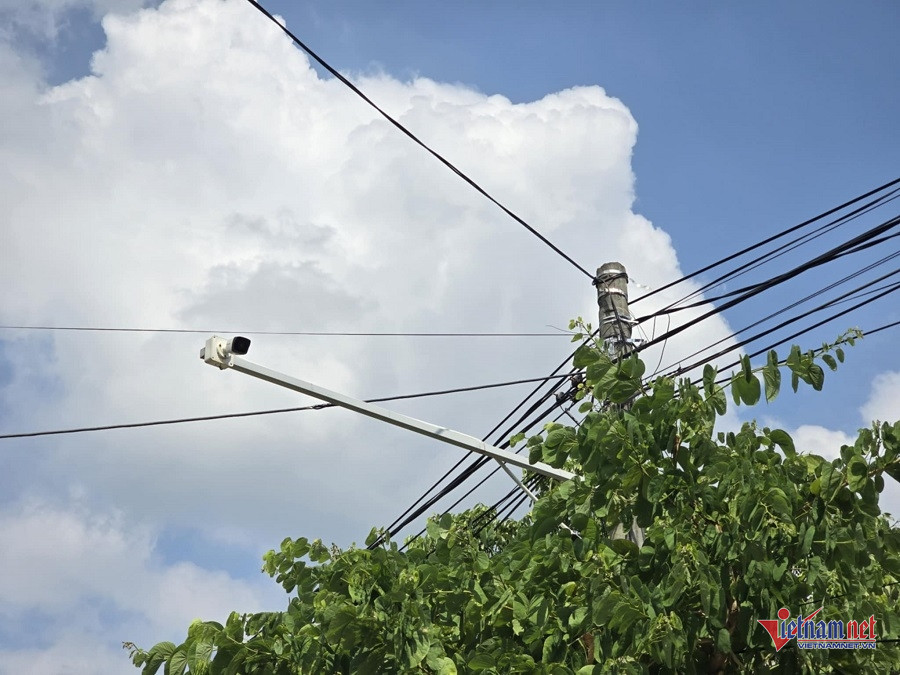 W-7dc99af0 44b3 4aef 8aa0 97eb257a4867.jpg