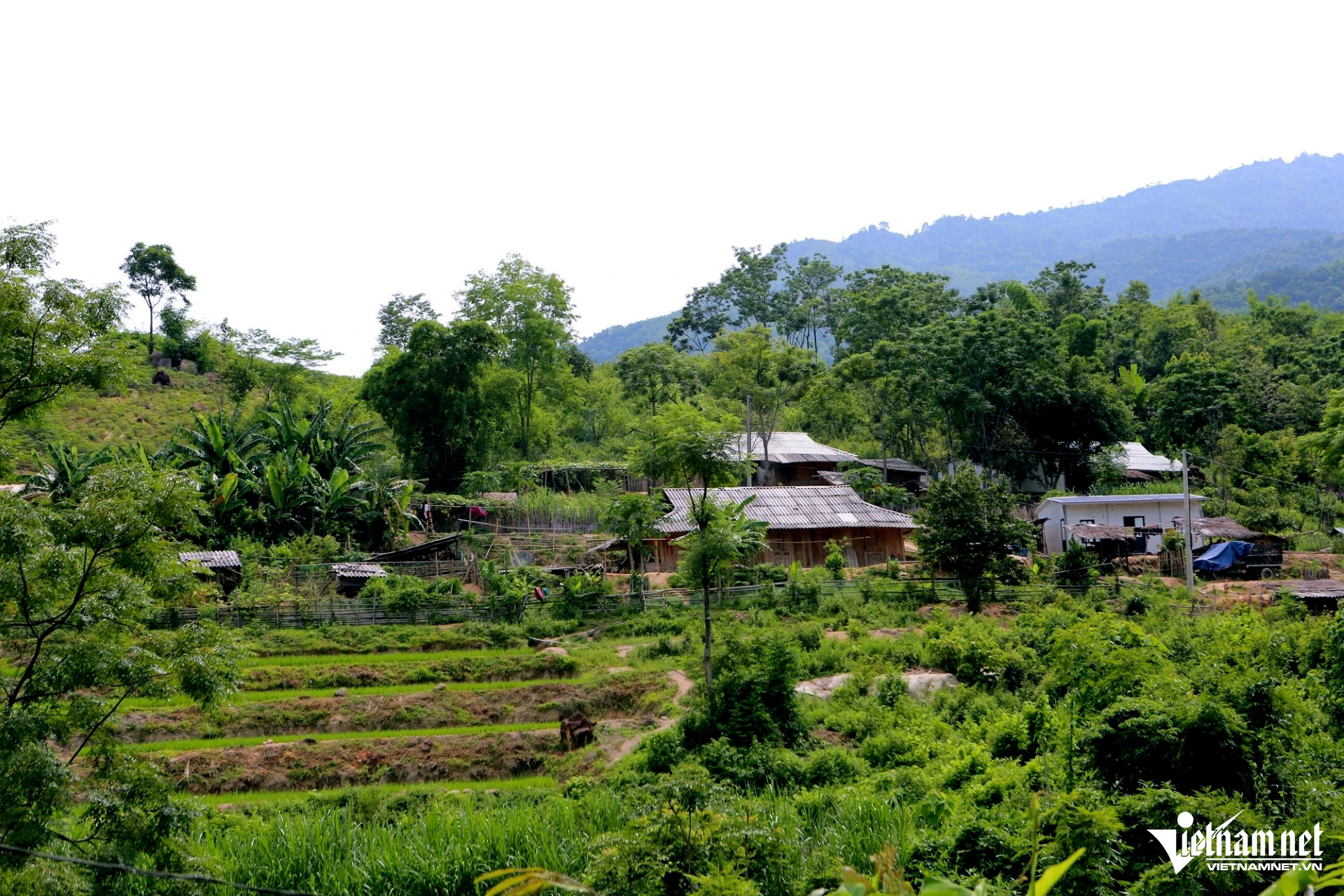 W-a5Bí thư chi bộ vượt khó làm giàu.jpg