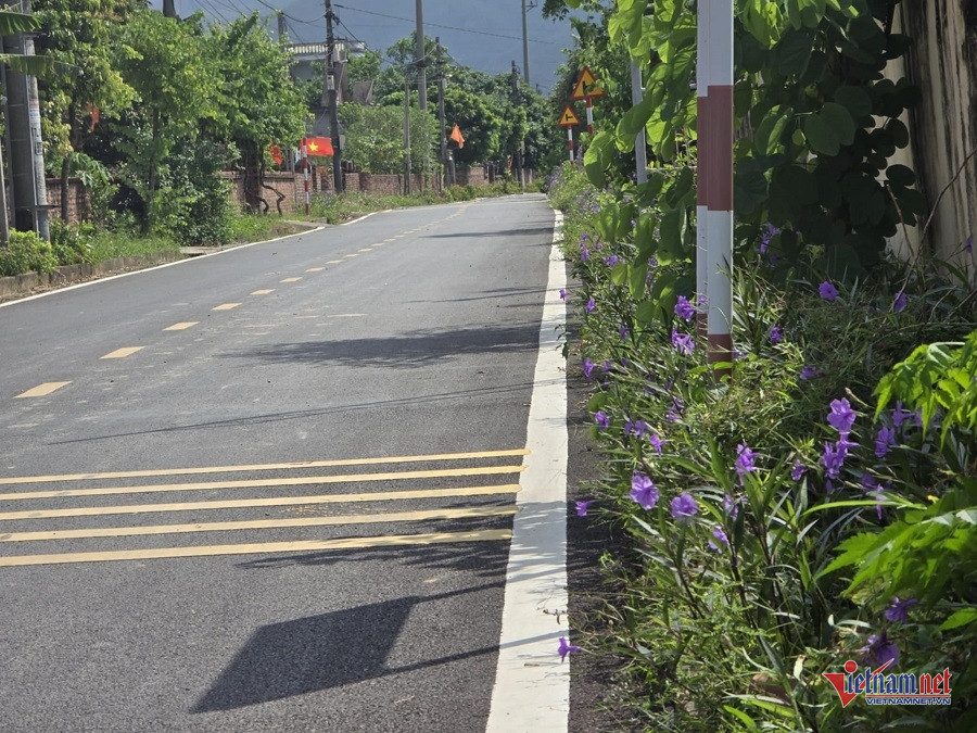 W-ddd679aa 20fd 49b4 9050 5ad063ea1a57.jpg