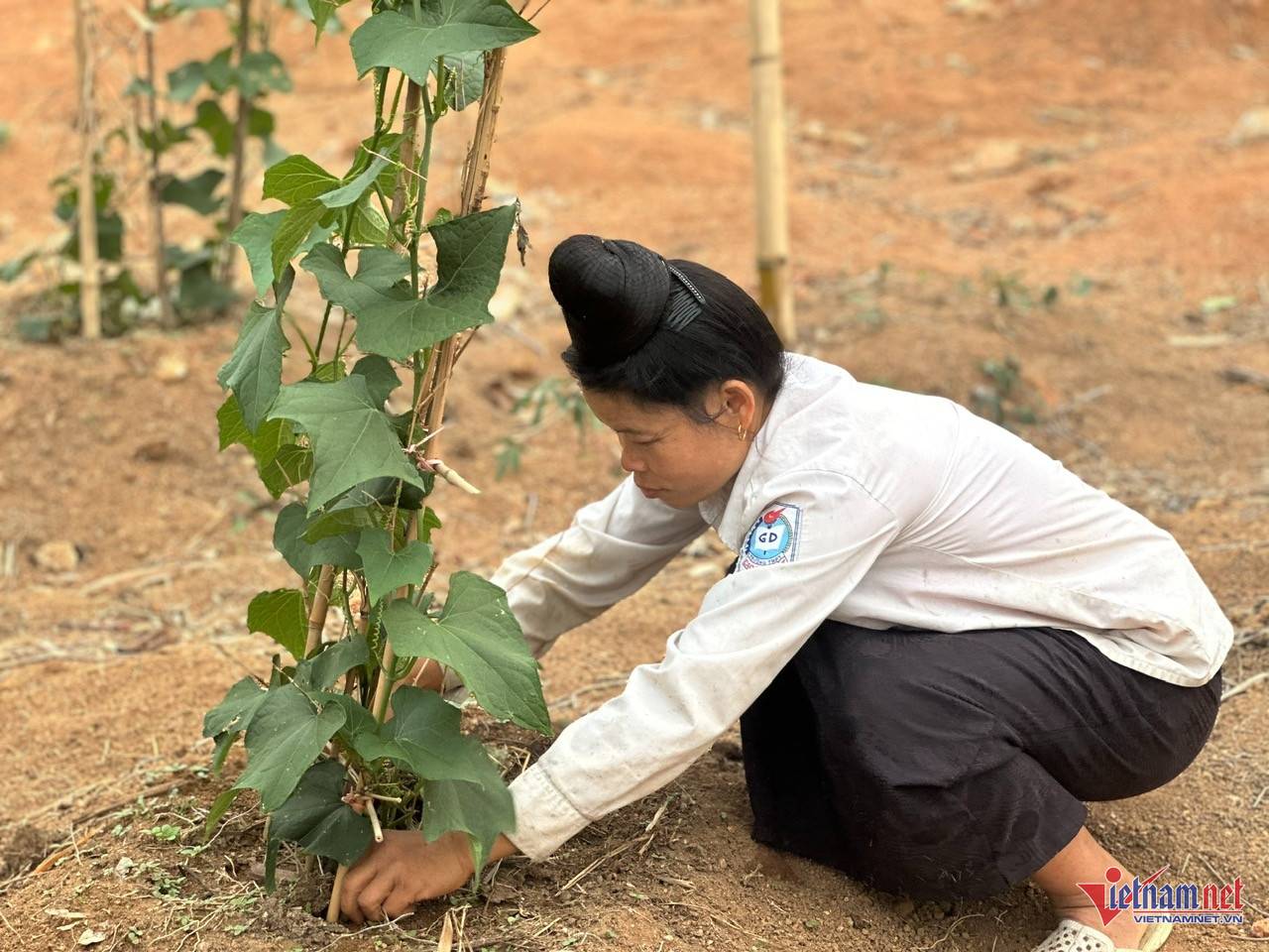 W-điện biên111.jpg