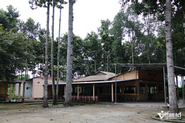W-dinh-co-1.1.JPG.jpg