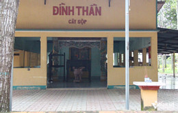 W-dinh-co-2.JPG.jpg