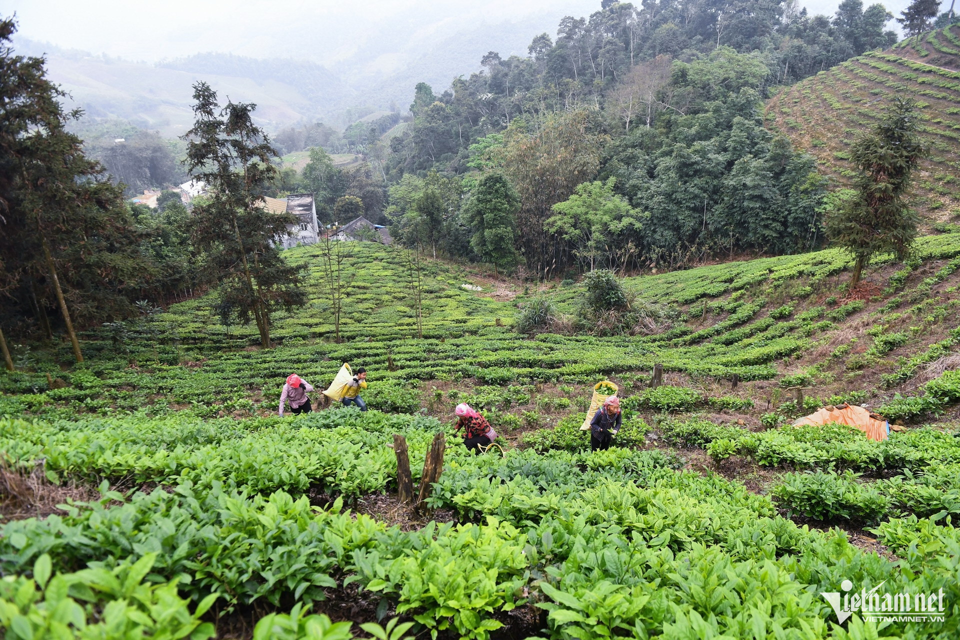 W-DTTG 1719 Lao Cai (22).jpg