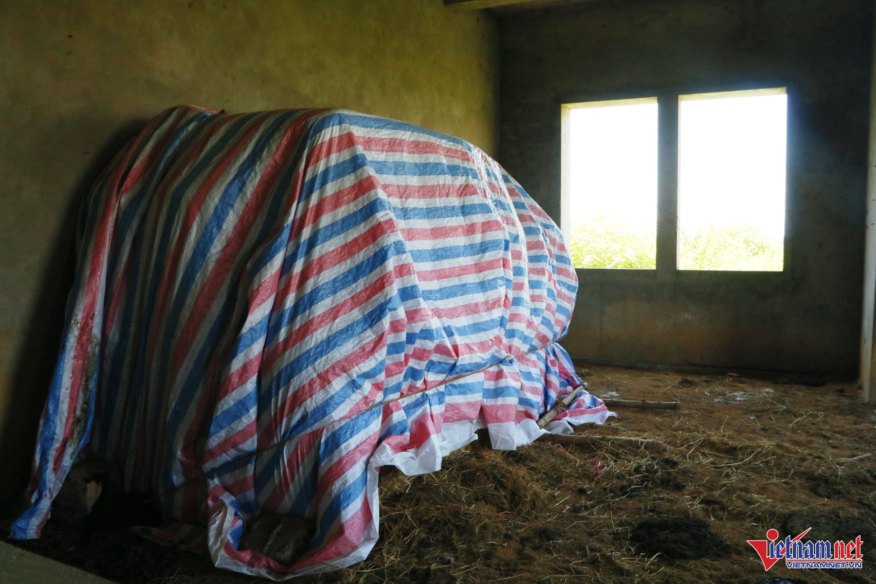 W-Phú Sơn 5.JPG.jpg