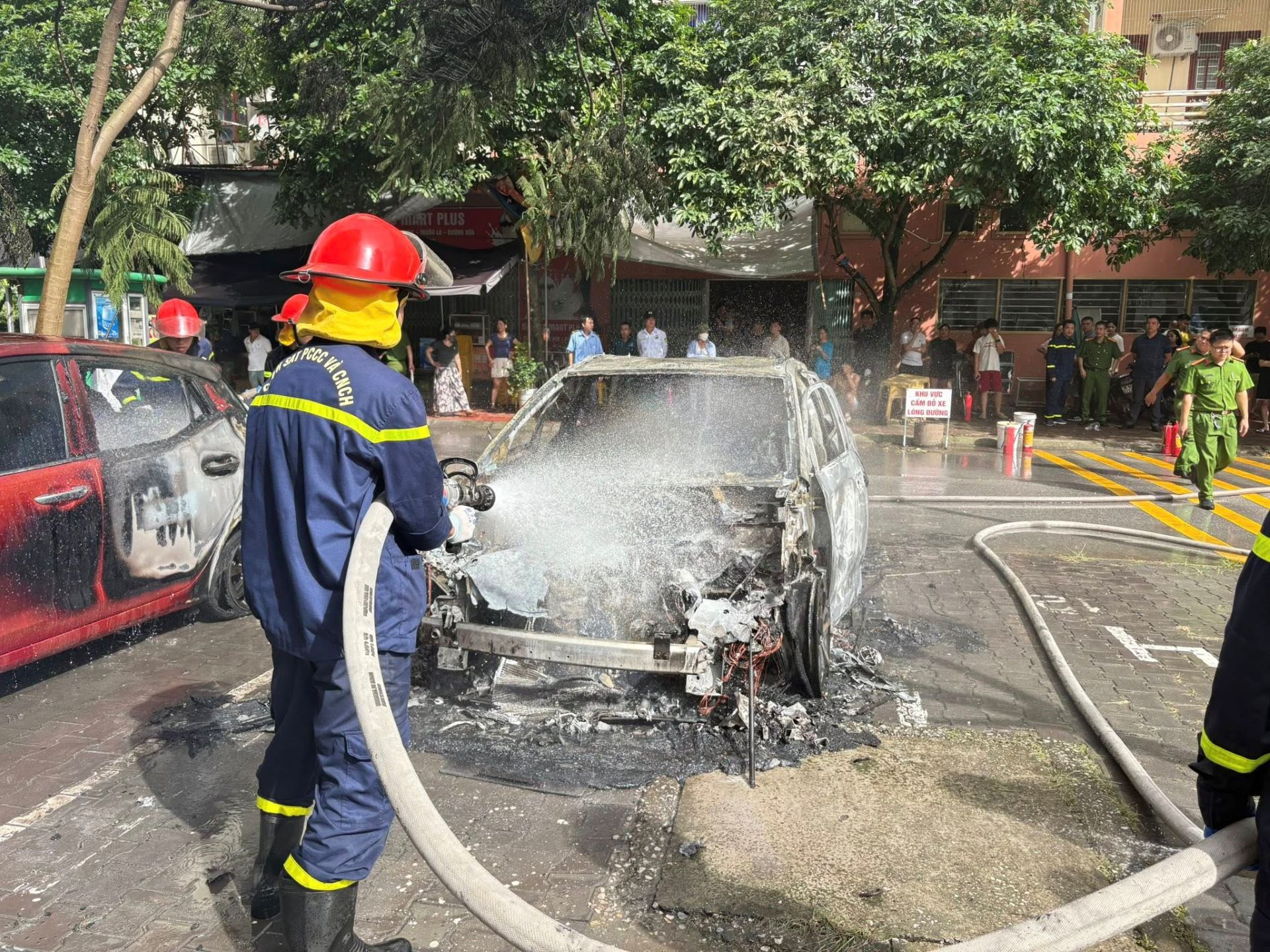 xe chay Peugoet 2.jpg