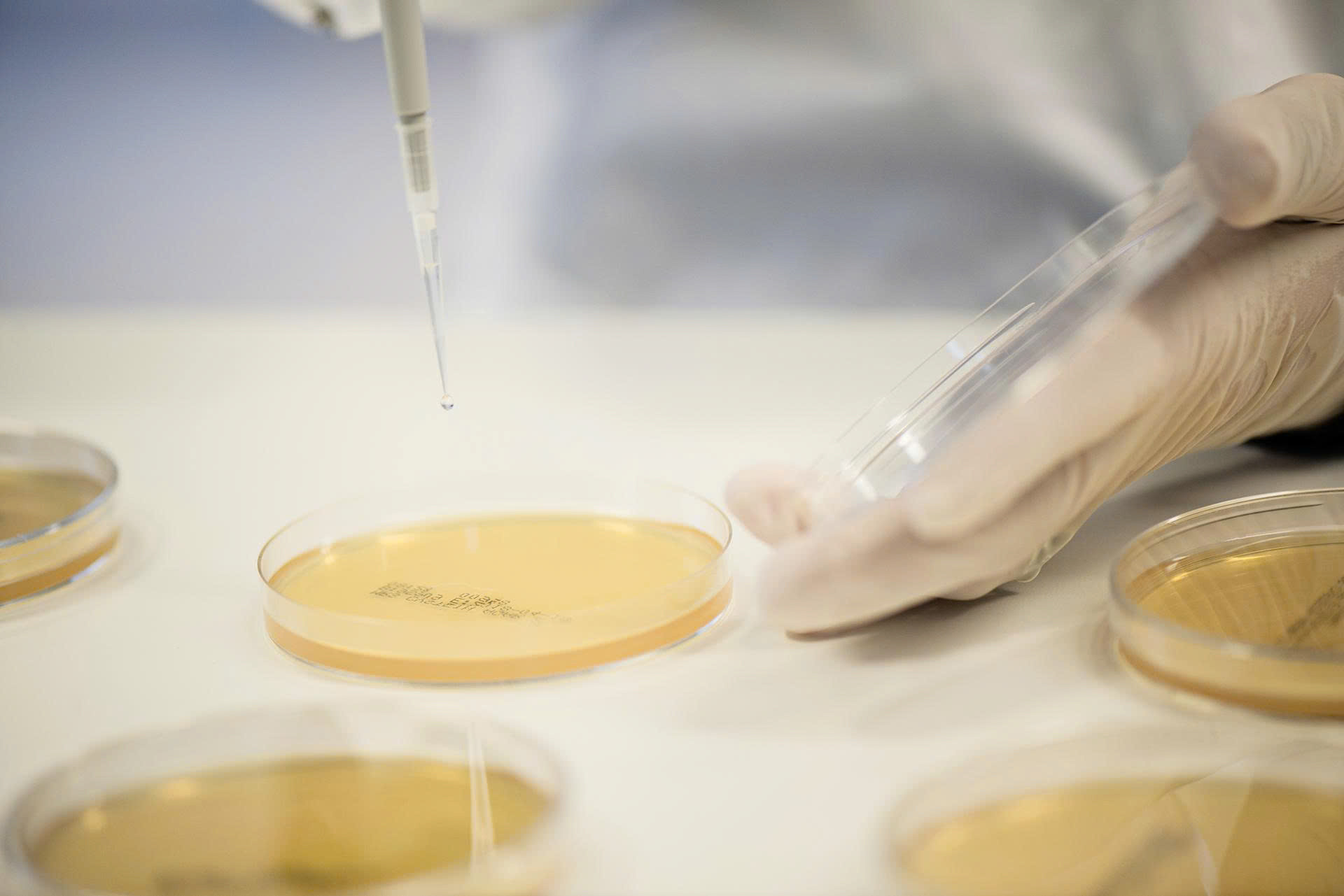 BioGaia Protectis3.jpg