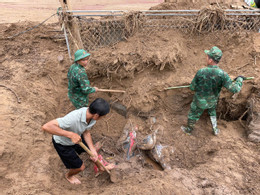 Bới tài sản.jpg