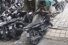 Cảnh tượng cây gòn cao 30m bật rễ chực đổ, đe doạ hàng chục dân chung cư