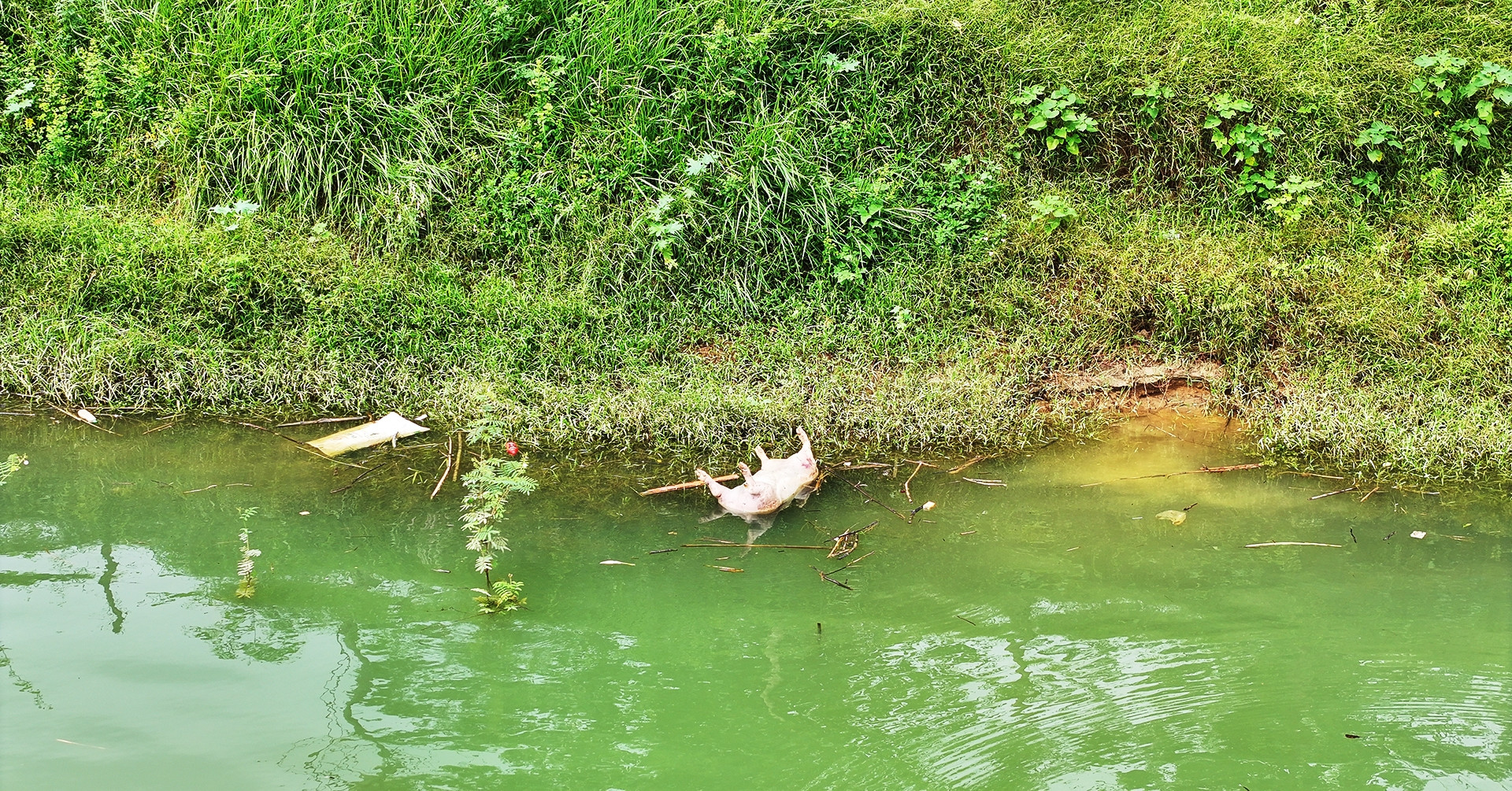 Sông Lô nước chảy xiết, xuất hiện cảnh tượng gâ...